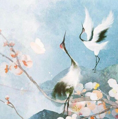 inoue seinako
